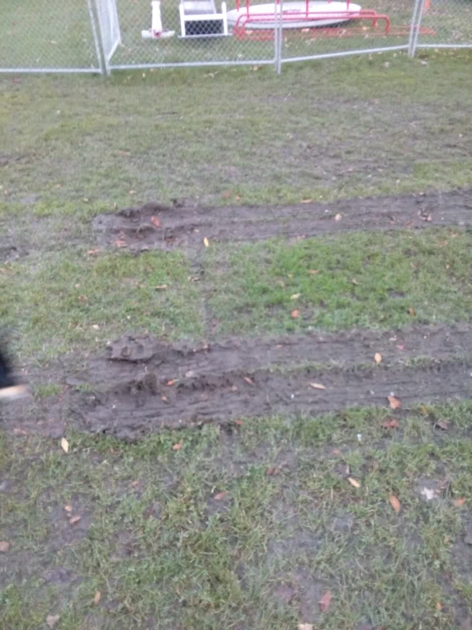The photograph attached to this parks report