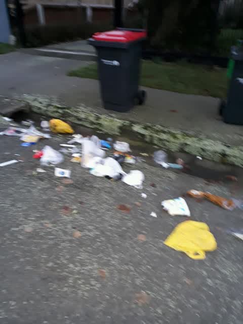 Rubbish/Recycling, a report photo
