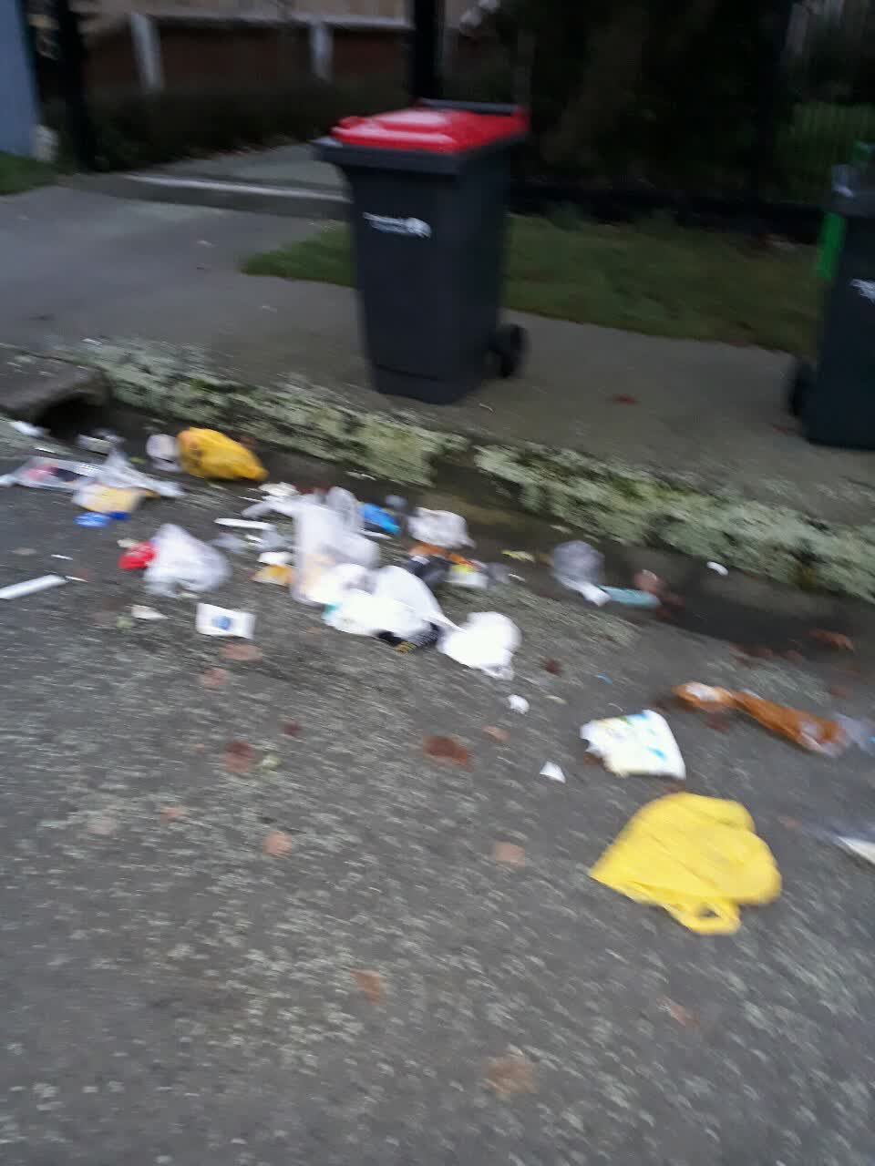 The photograph attached to this rubbish/recycling report