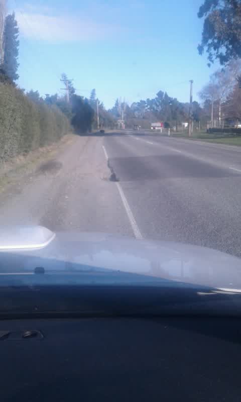 Roading/Streets, a report photo