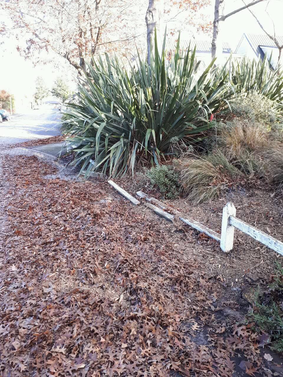 The photograph attached to this parks report