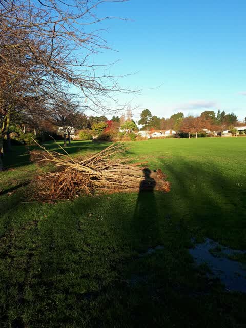 Parks, a report photo