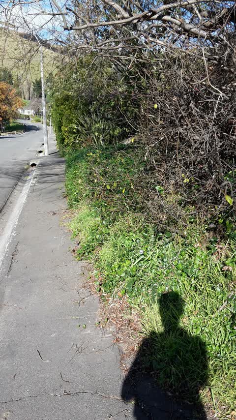 Roading/Streets, a report photo