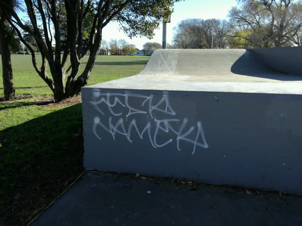 The photograph attached to this graffiti report