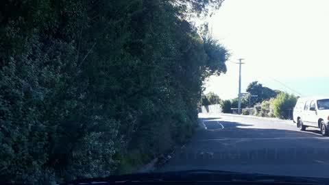Roading/Streets, a report photo
