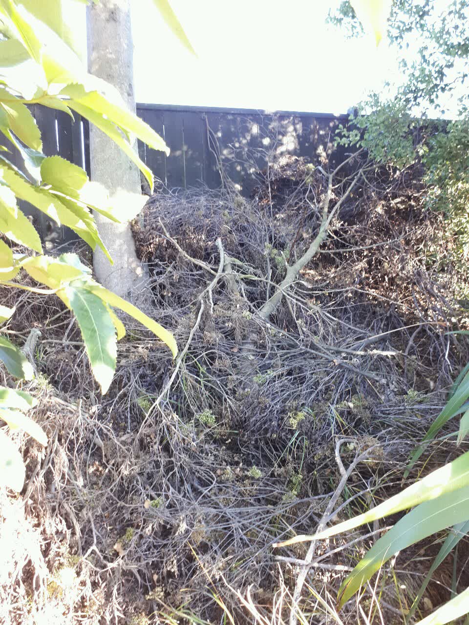 The photograph attached to this parks report