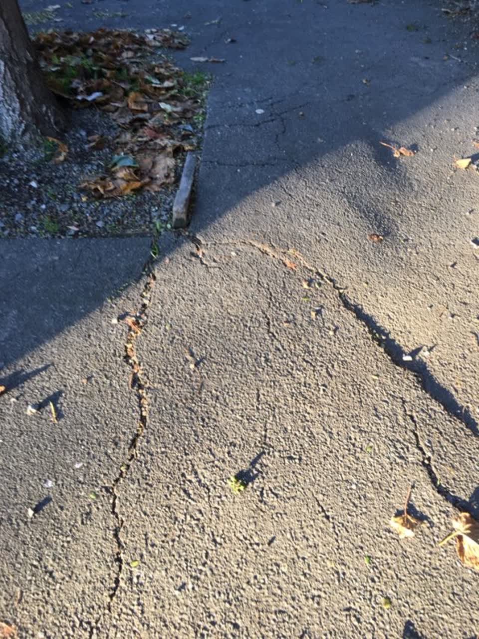 The photograph attached to this roading/streets report