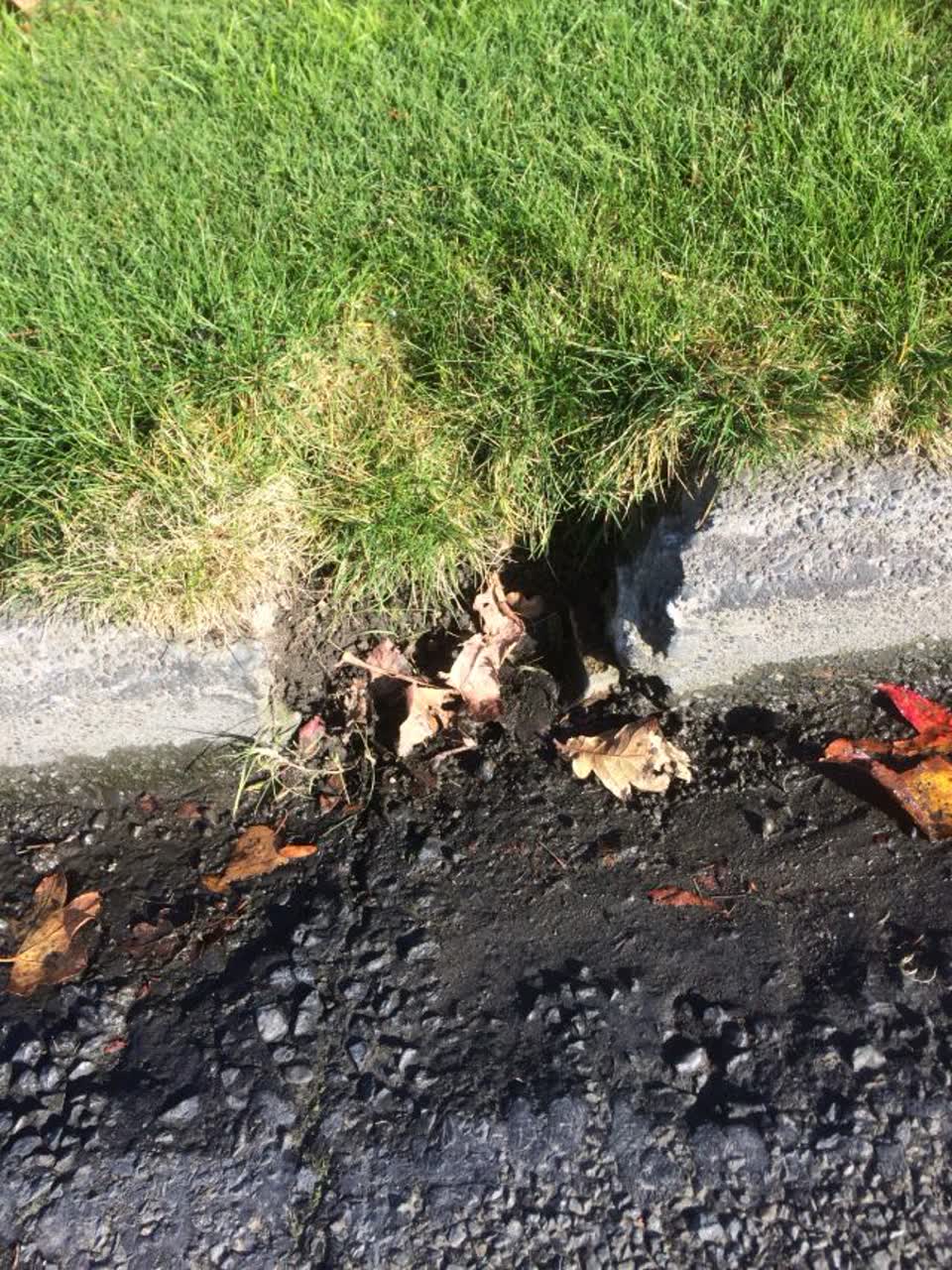 The photograph attached to this wastewater/stormwater report