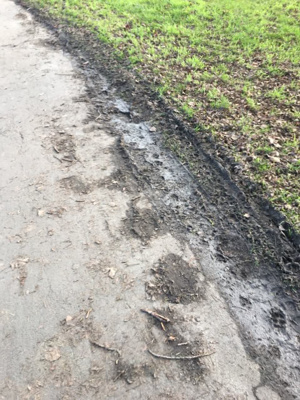 The photograph attached to this parks report