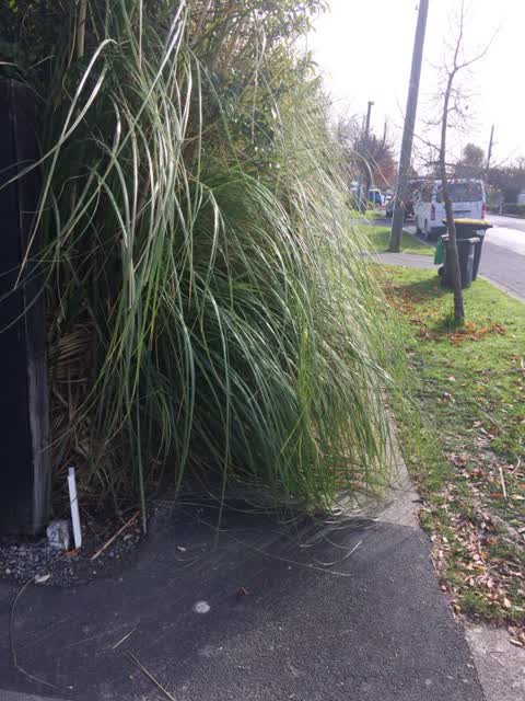 Roading/Streets, a report photo