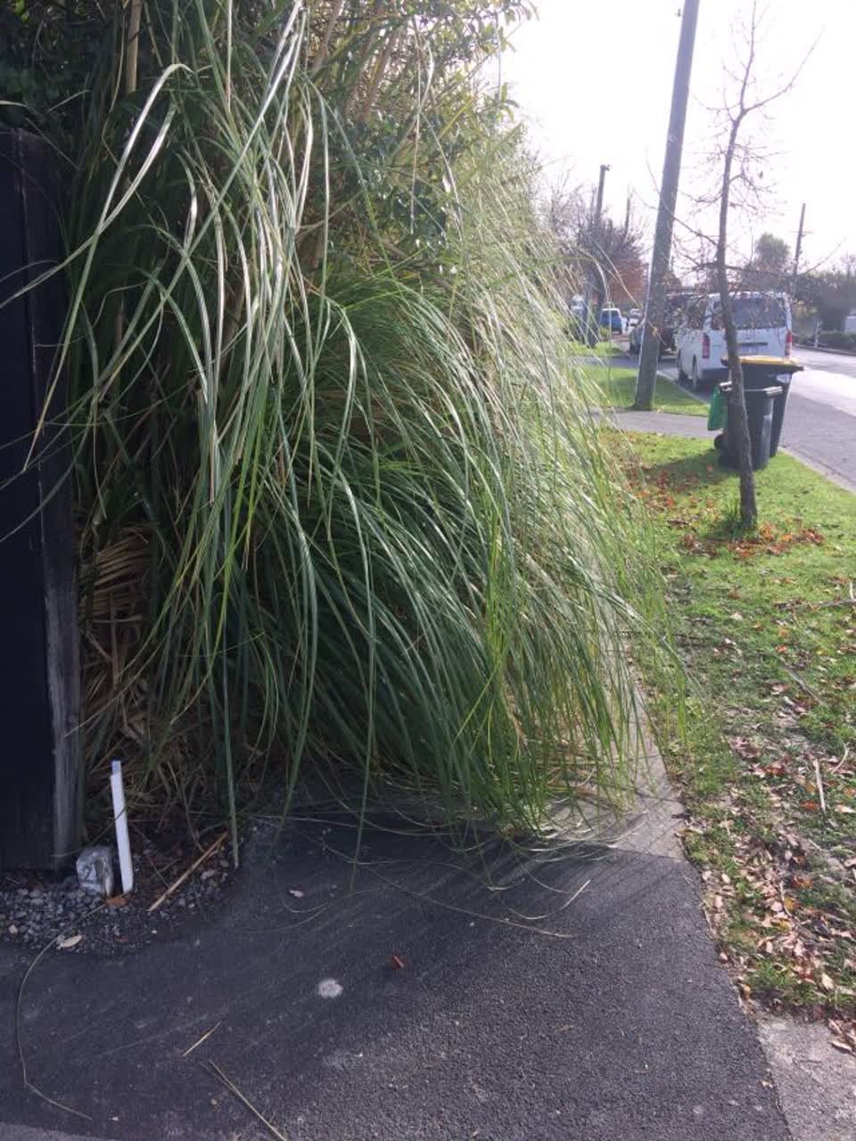The photograph attached to this roading/streets report