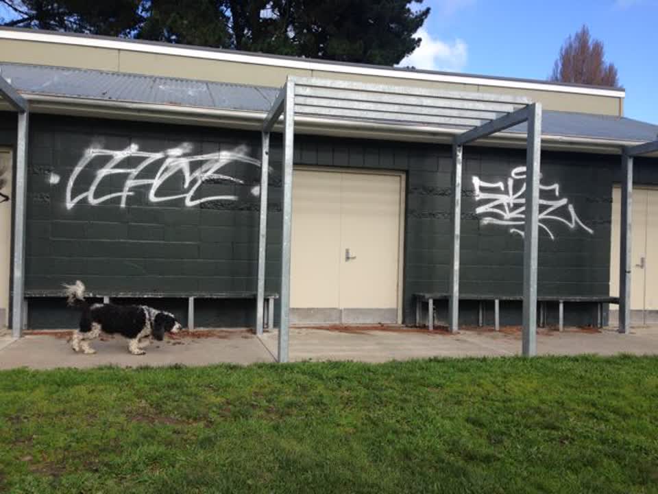 The photograph attached to this graffiti report
