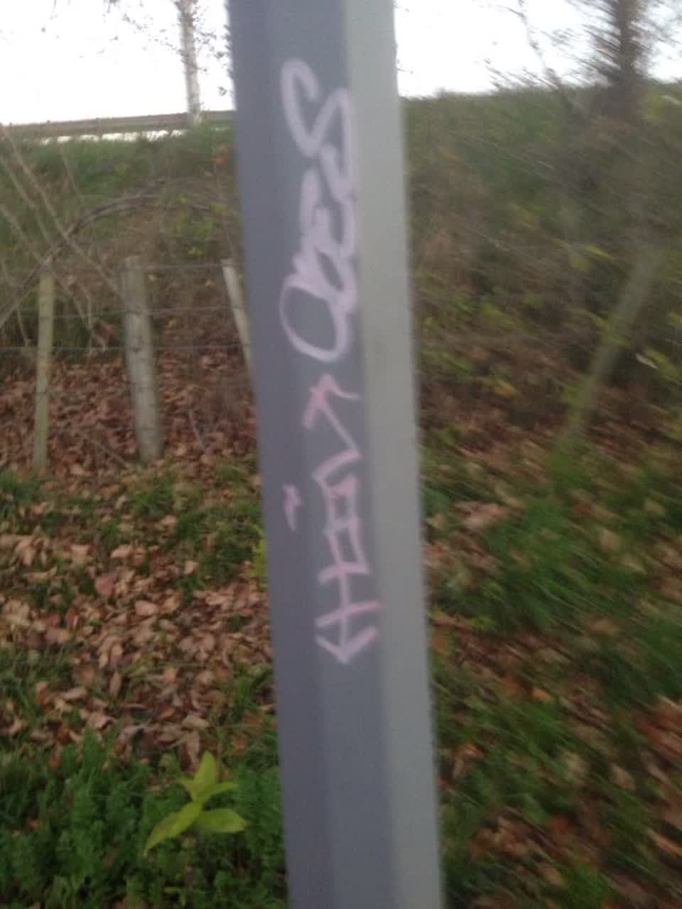 The photograph attached to this graffiti report