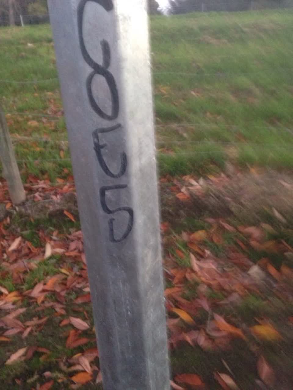 The photograph attached to this graffiti report