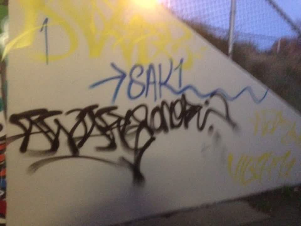 The photograph attached to this graffiti report