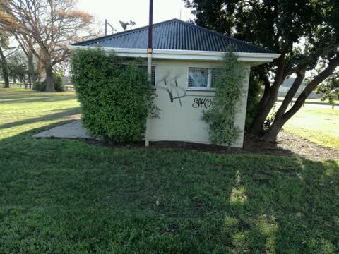 Graffiti — a report photo