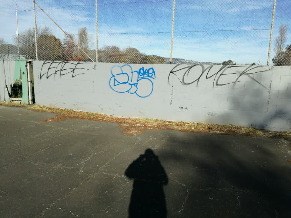 The photograph attached to this graffiti report