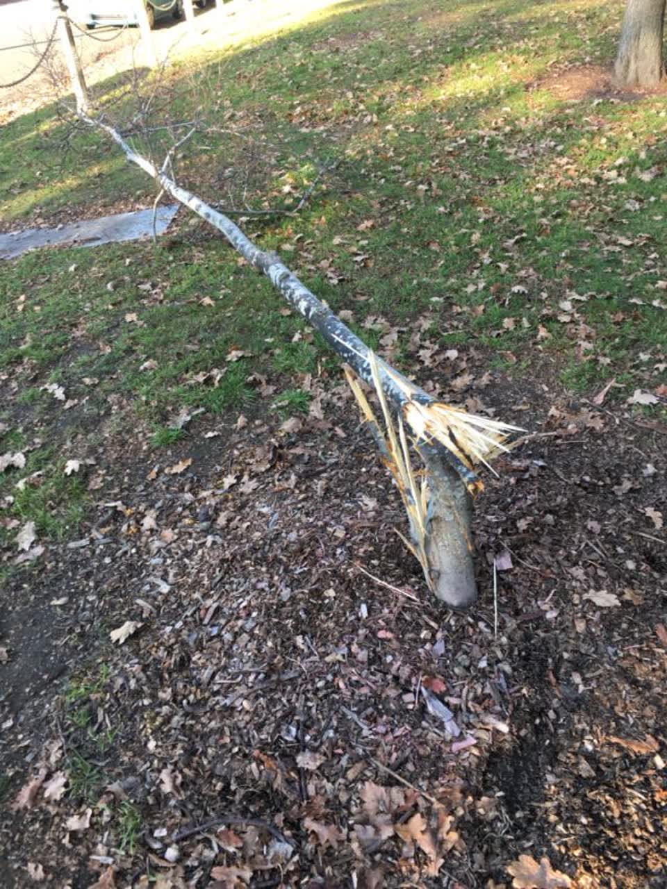 The photograph attached to this parks report