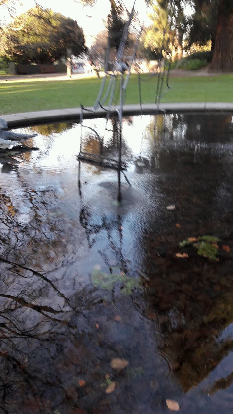 The photograph attached to this parks report