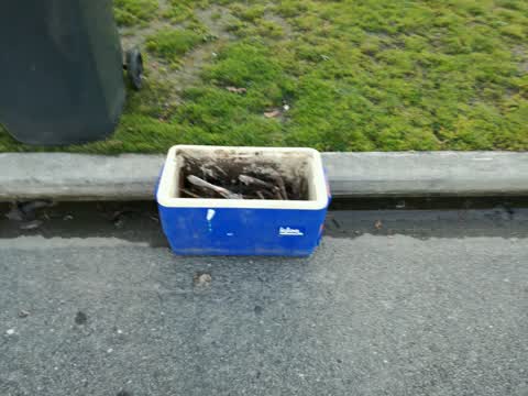 Roading/Streets, a report photo