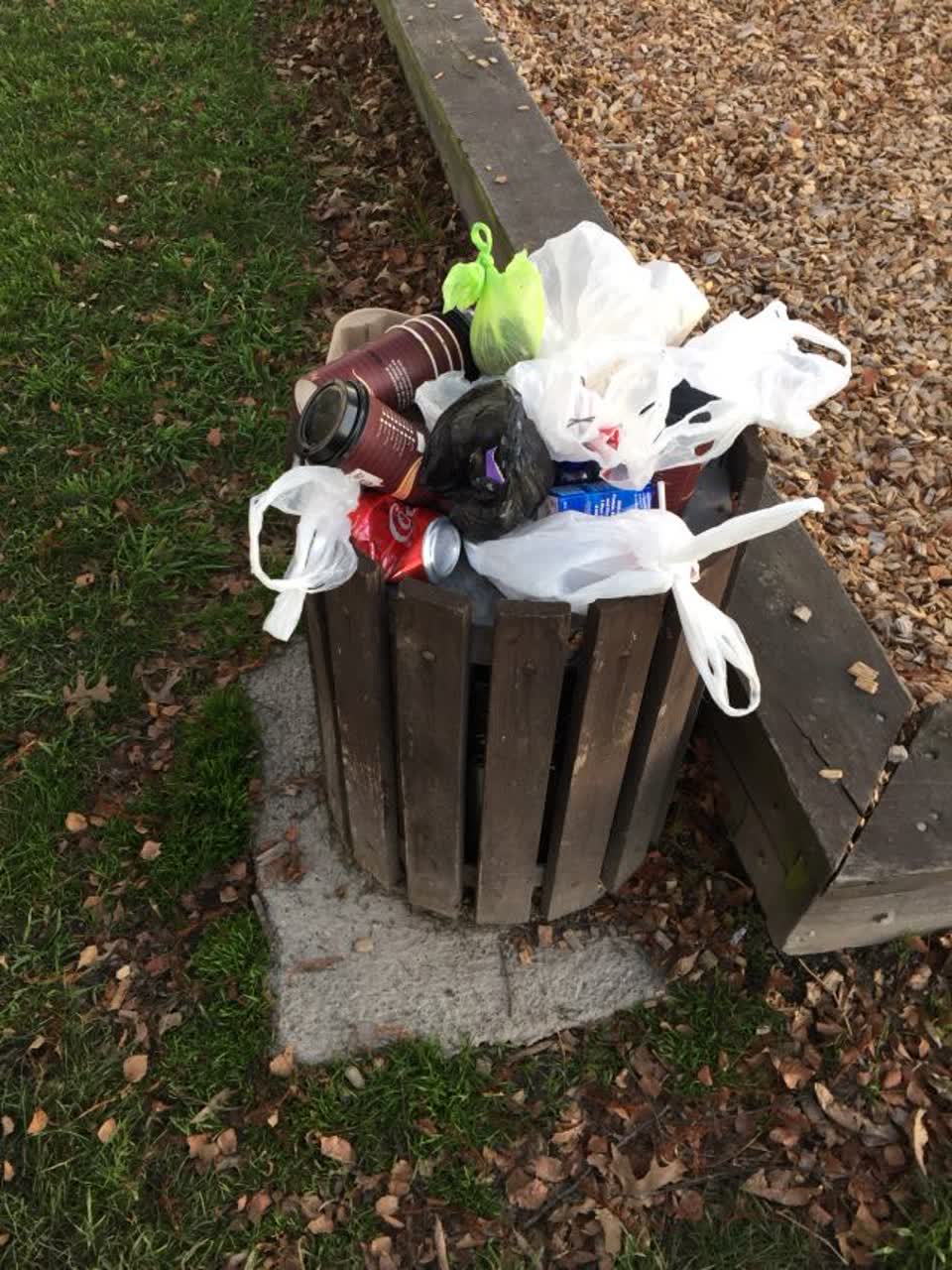 The photograph attached to this parks report
