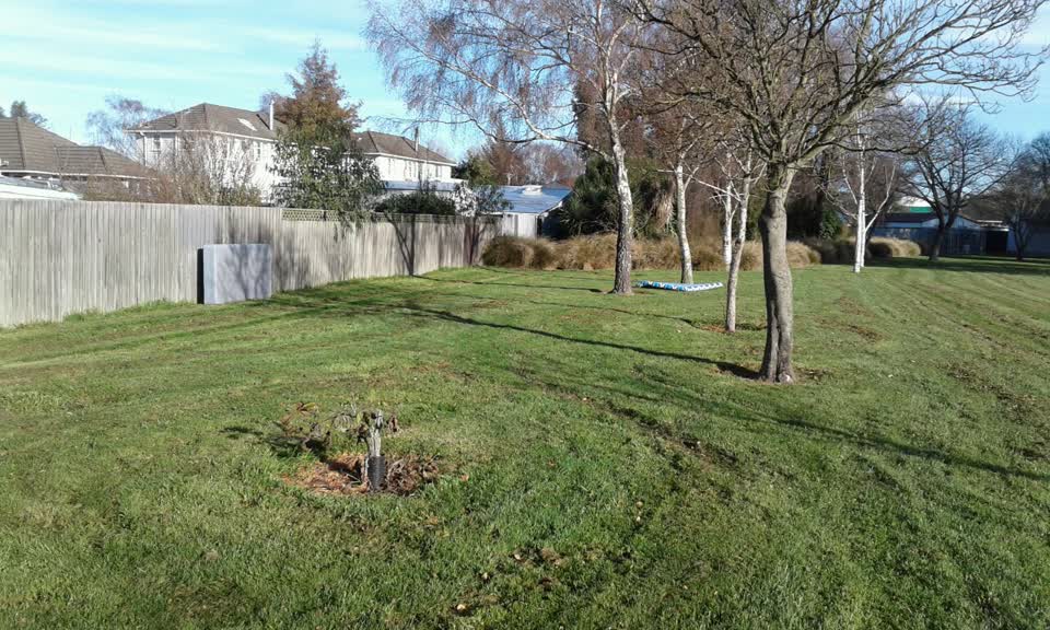 The photograph attached to this parks report