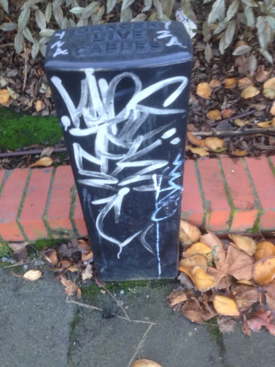 The photograph attached to this graffiti report