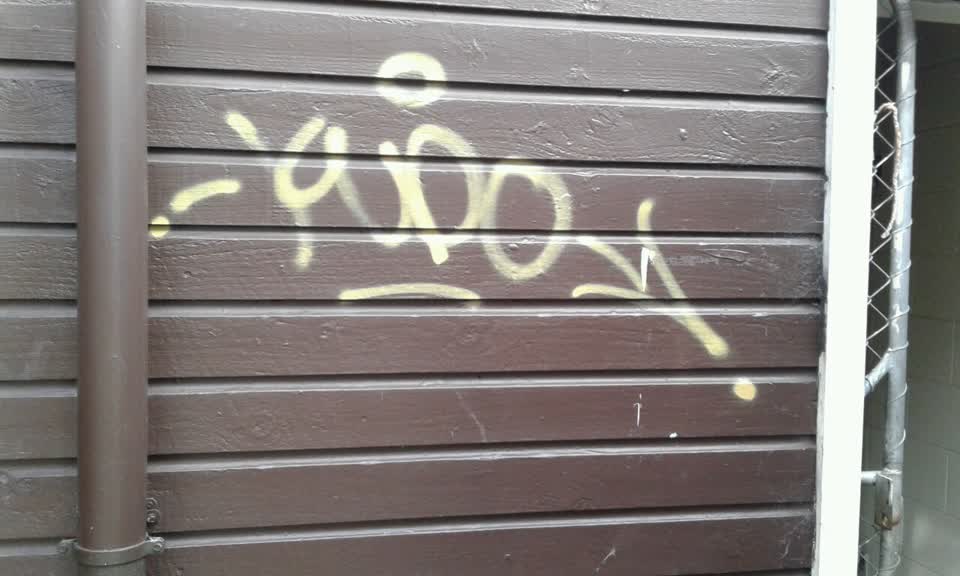 The photograph attached to this graffiti report