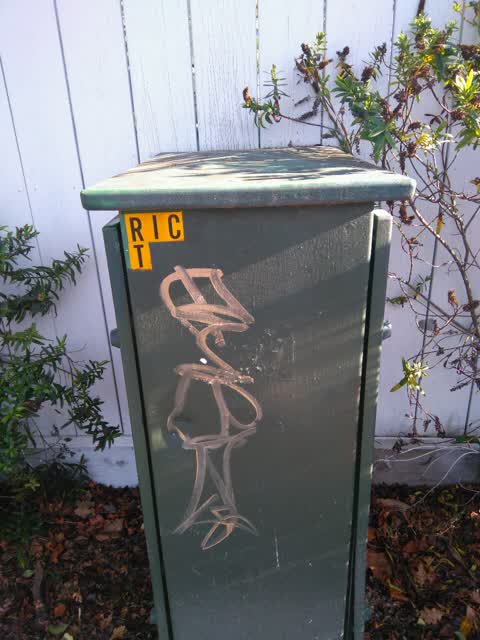 Graffiti, a report photo
