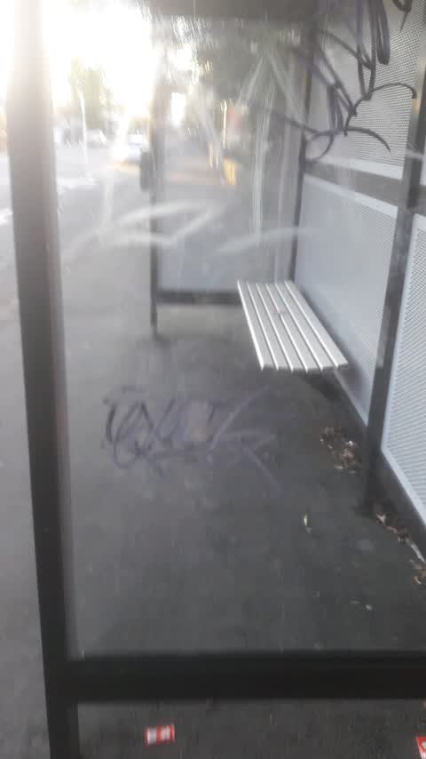 Graffiti, a report photo