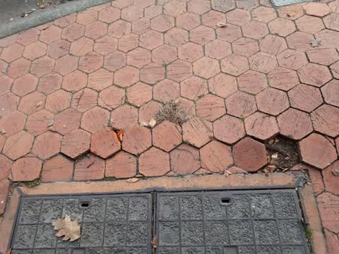 Roading/Streets, a report photo