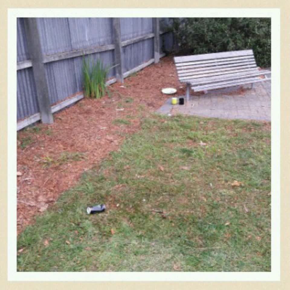 The photograph attached to this parks report