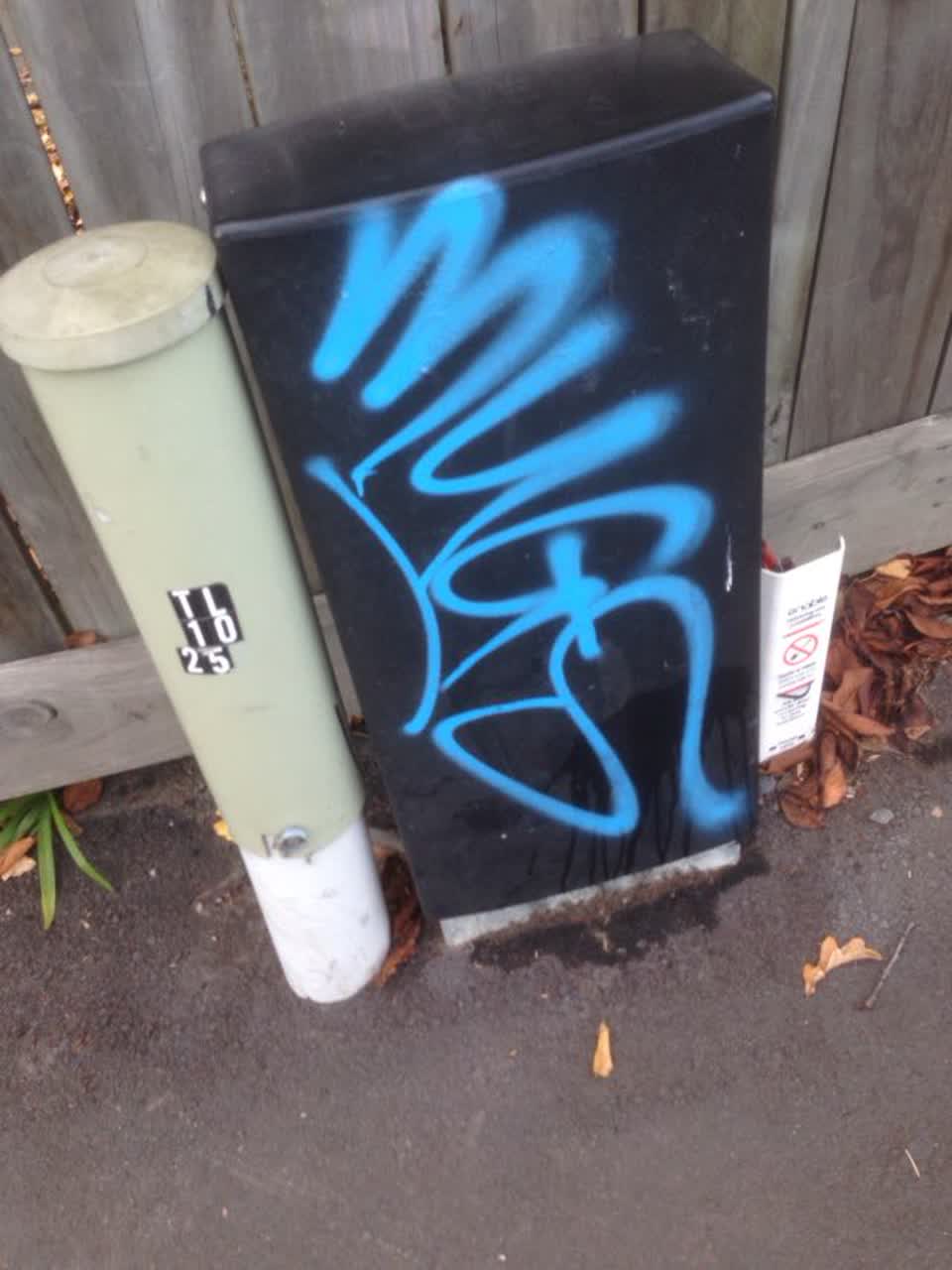 The photograph attached to this graffiti report