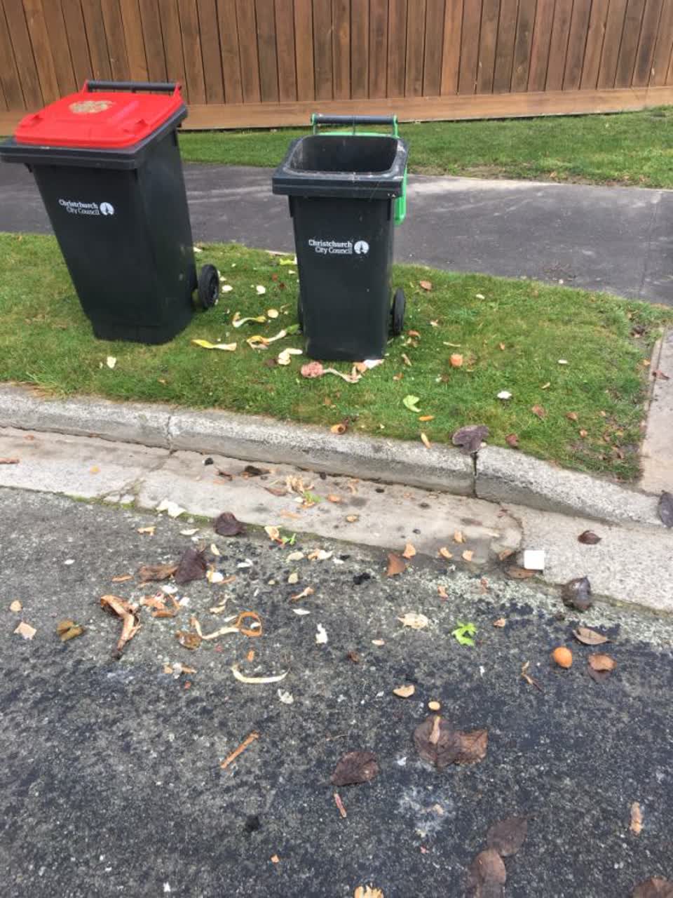 The photograph attached to this rubbish/recycling report