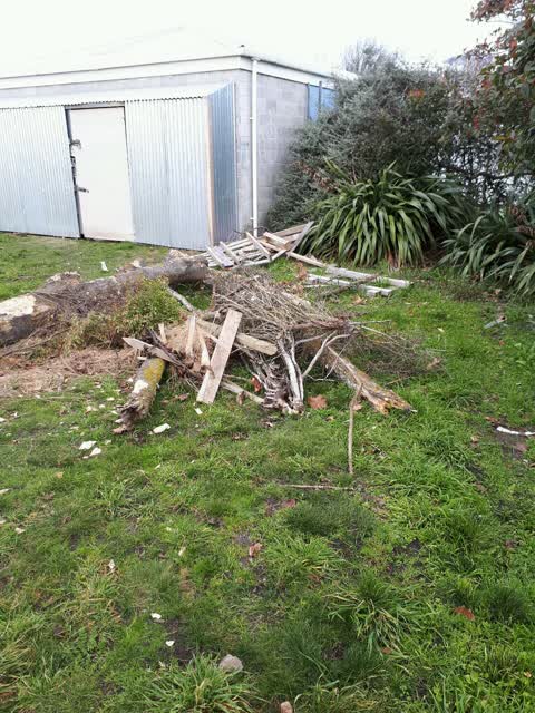 Parks, a report photo