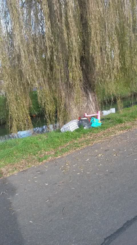Rubbish/Recycling, a report photo