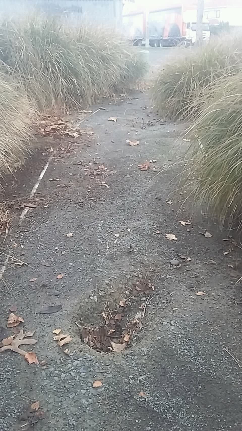 The photograph attached to this roading/streets report