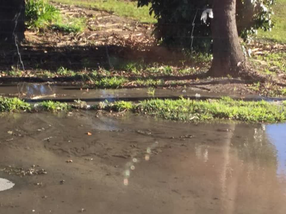 The photograph attached to this water supply report
