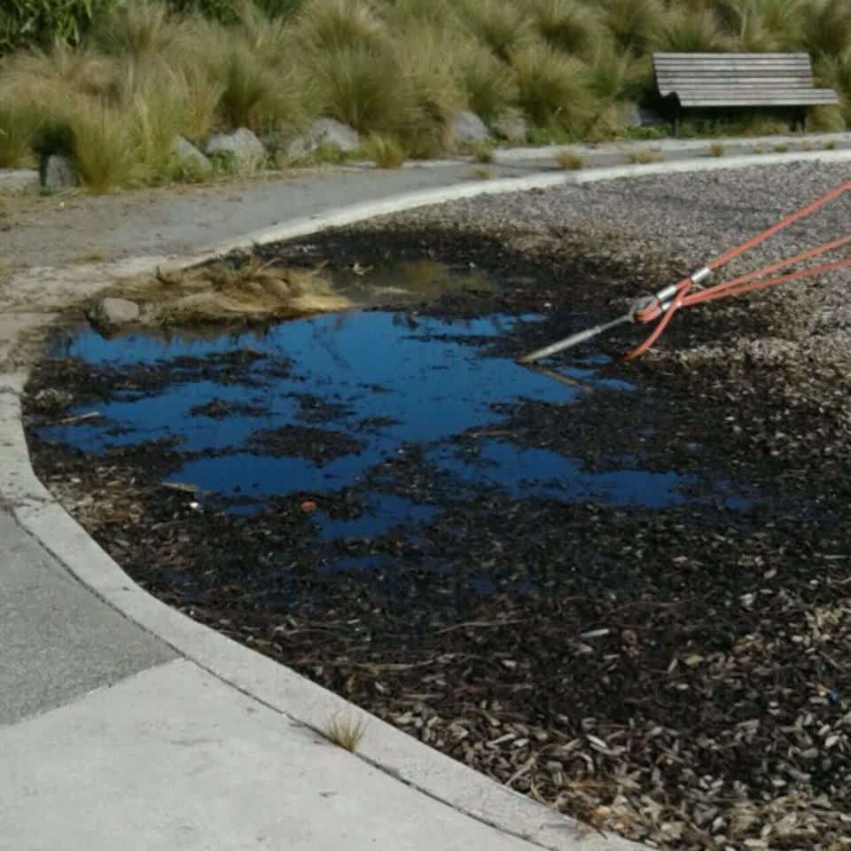The photograph attached to this parks report