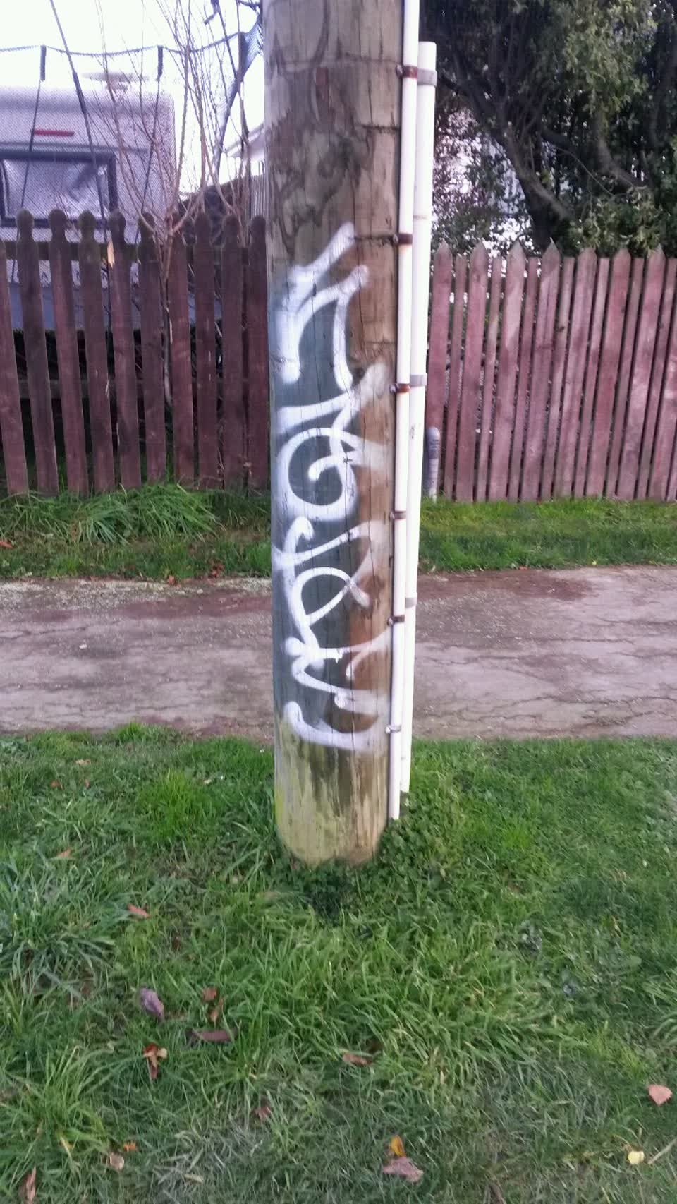 The photograph attached to this graffiti report