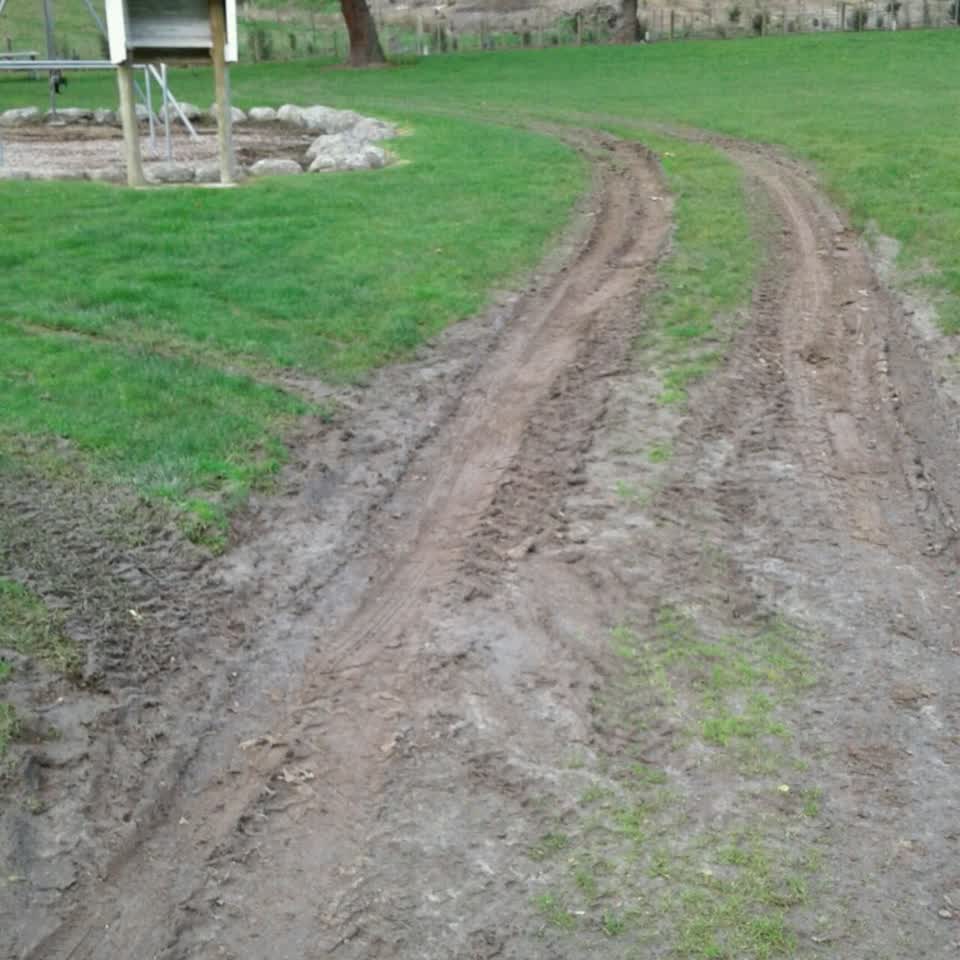 The photograph attached to this parks report