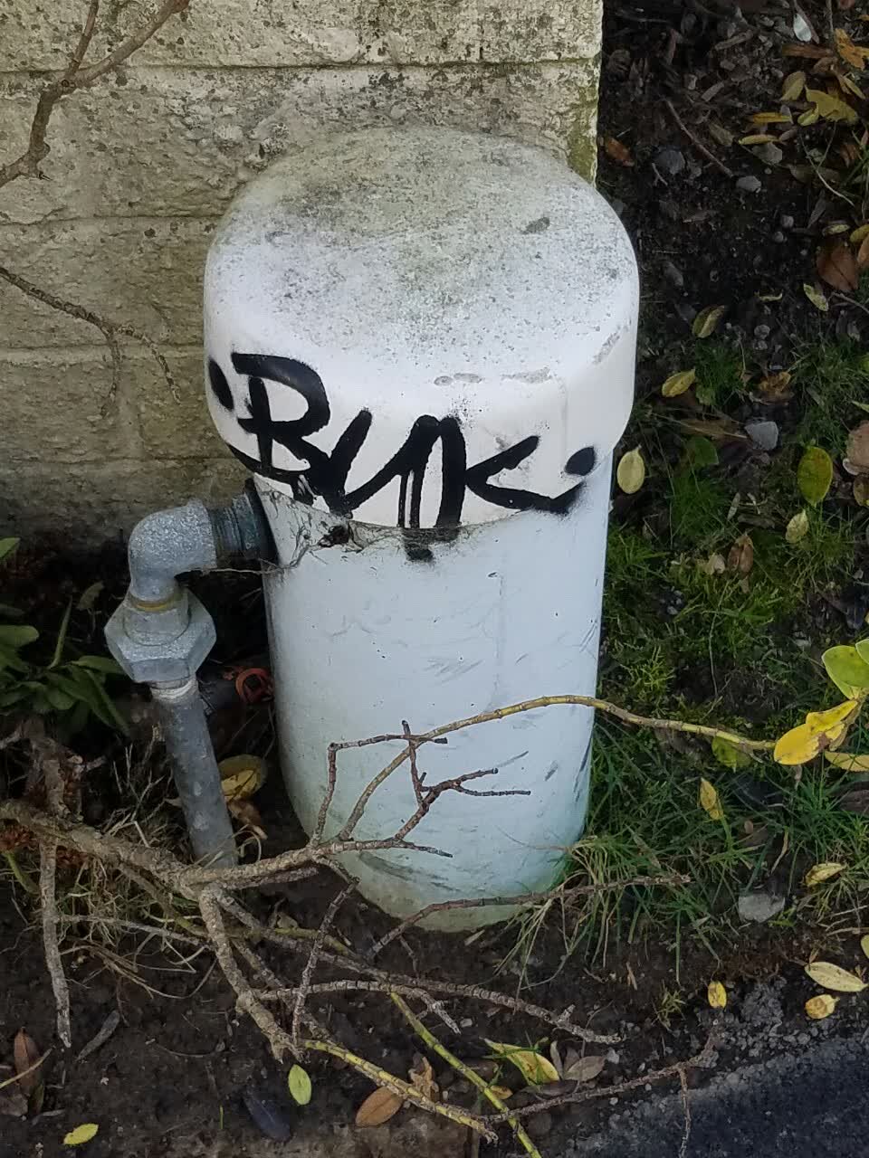 The photograph attached to this graffiti report
