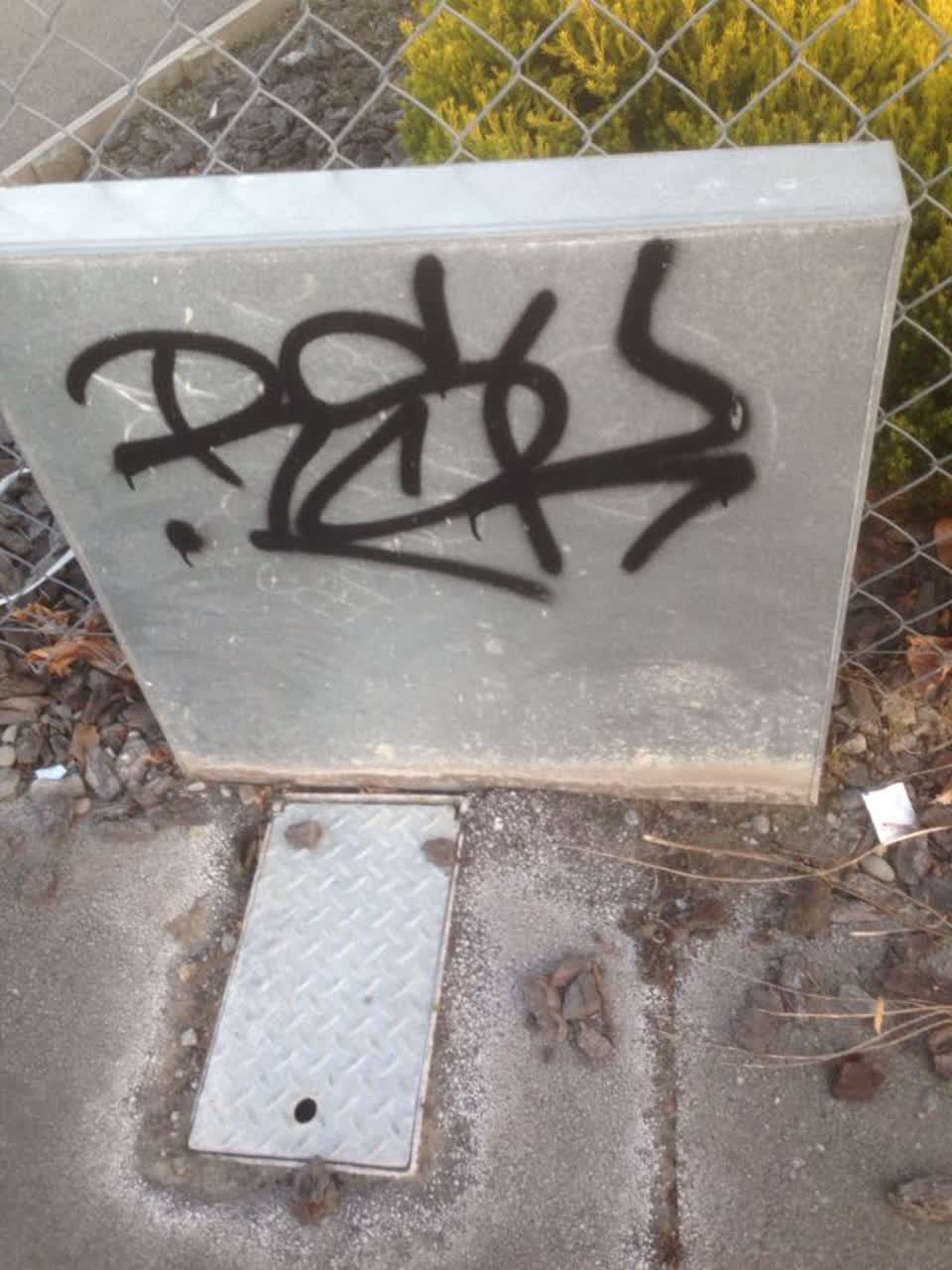 The photograph attached to this graffiti report