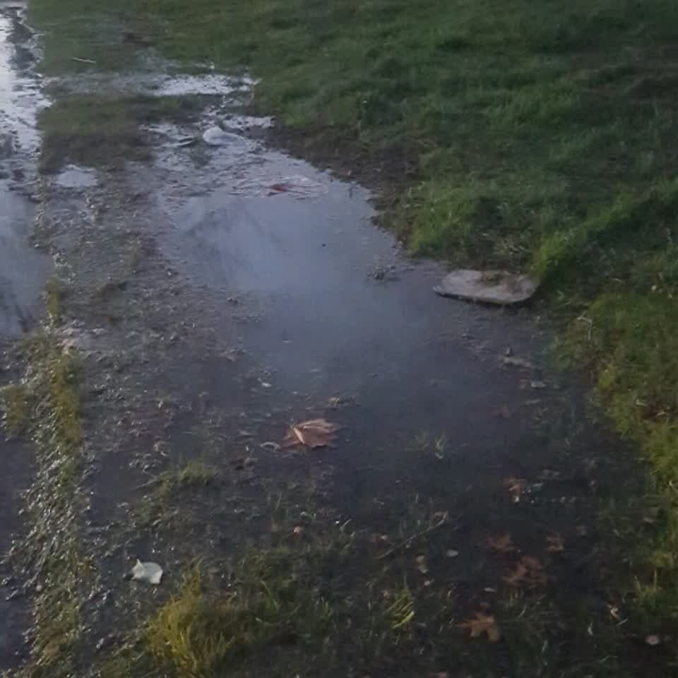 The photograph attached to this water supply report