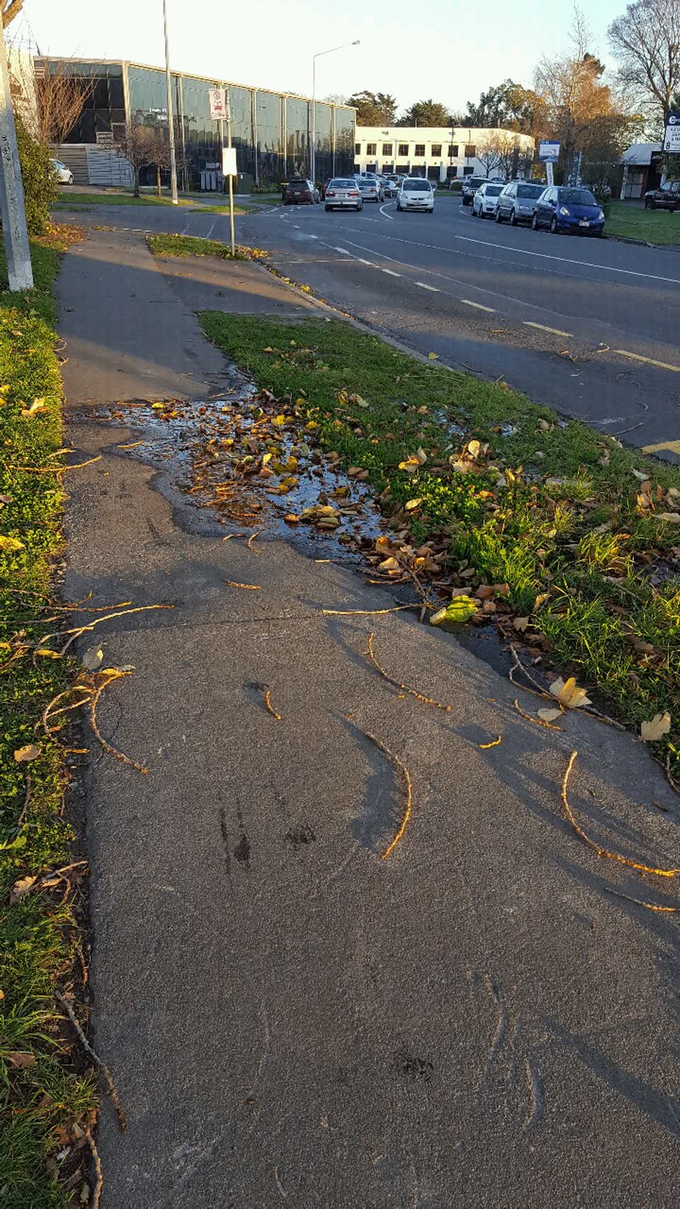 The photograph attached to this water supply report