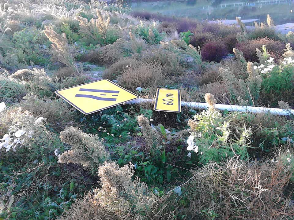 The photograph attached to this roading/streets report