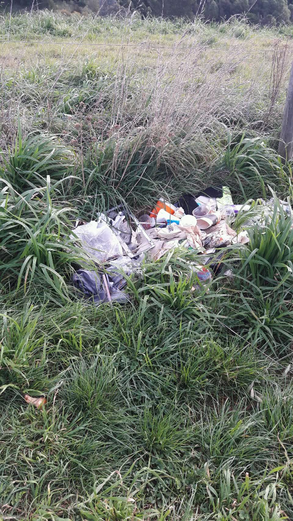 The photograph attached to this parks report