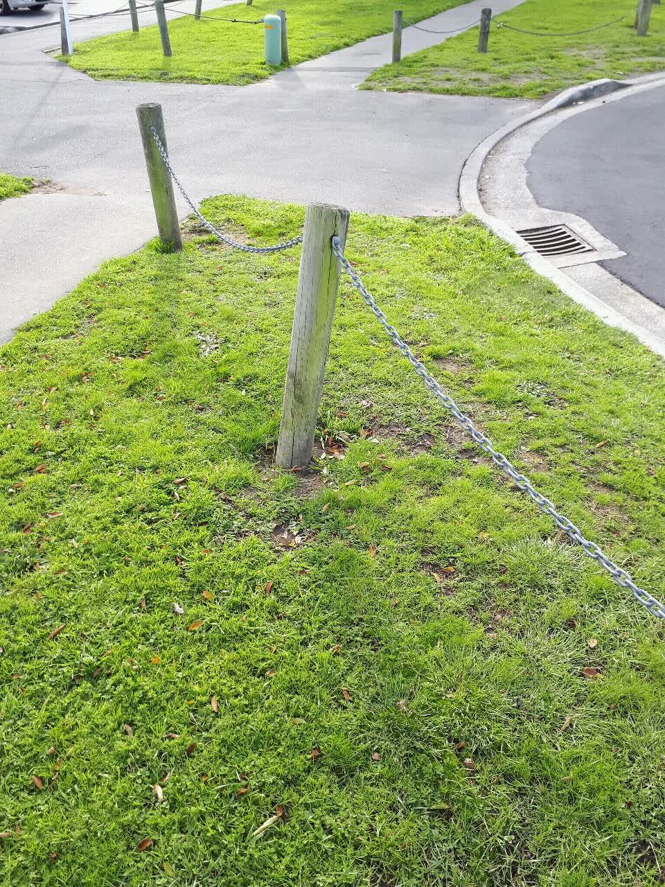 The photograph attached to this parks report