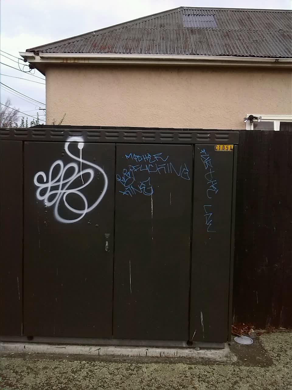 The photograph attached to this graffiti report