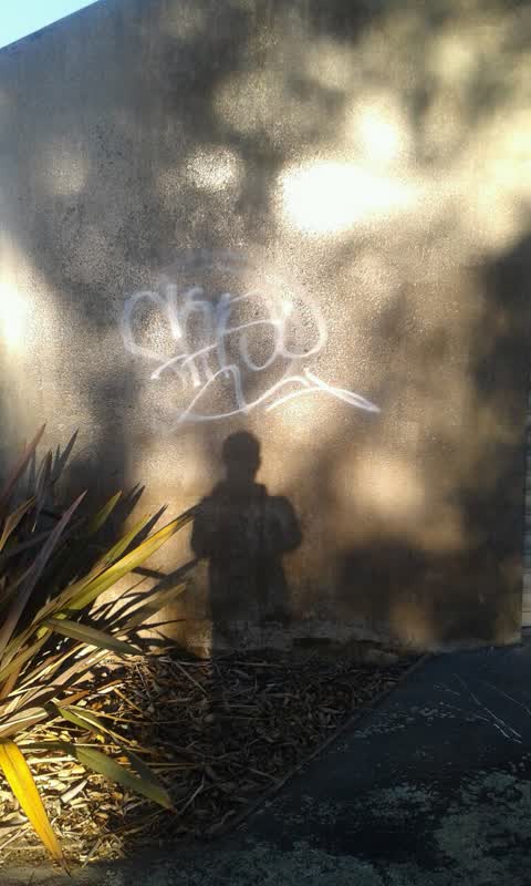 Graffiti, a report photo